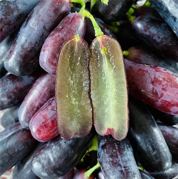 Sweet Sapphire Grapes Seeds Pack