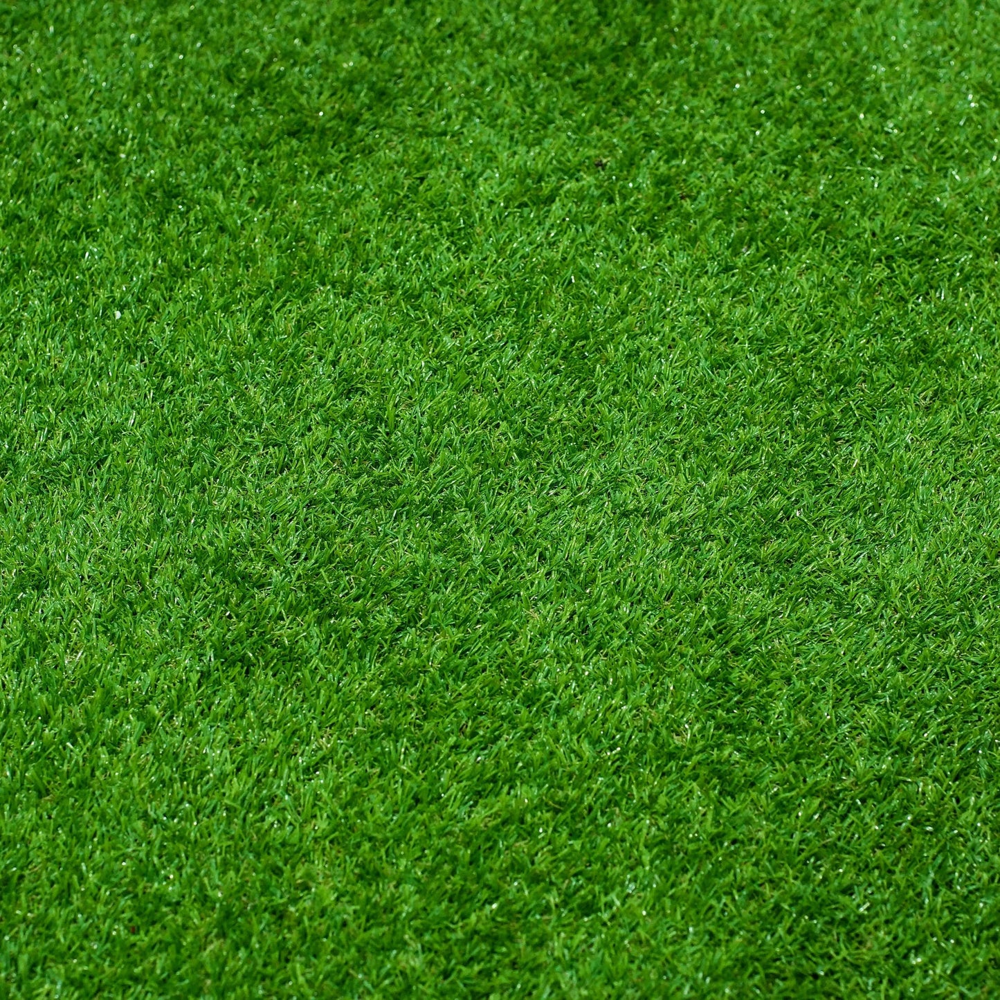 All Seasons Evergreen Grass Seeds | Fast Germination | Year-Round Beatiful Green Lawn