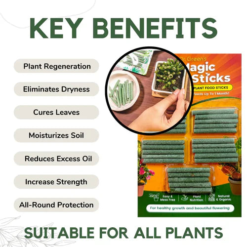 Plant Food Magic Sticks - Organic Indoor Plant Nutrition