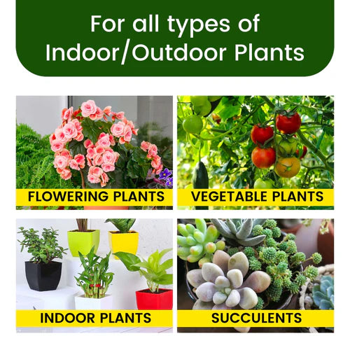 Plant Food Magic Sticks - Organic Indoor Plant Nutrition