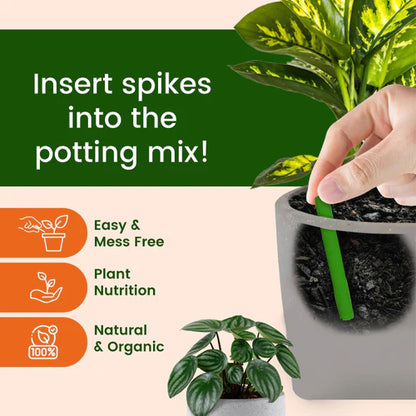 Plant Food Magic Sticks - Organic Indoor Plant Nutrition