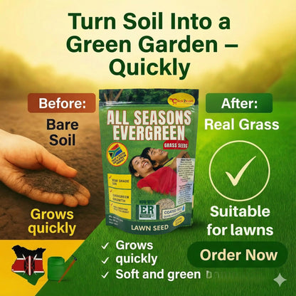 All Seasons Evergreen Grass Seeds | Fast Germination | Year-Round Beatiful Green Lawn