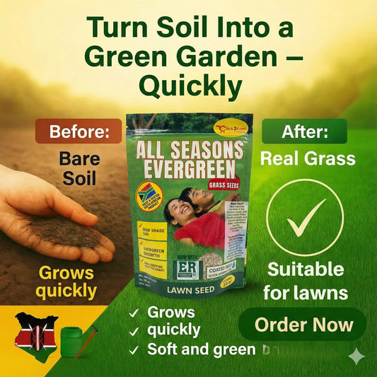 All Seasons Evergreen Grass Seeds | Fast Germination | Year-Round Beatiful Green Lawn