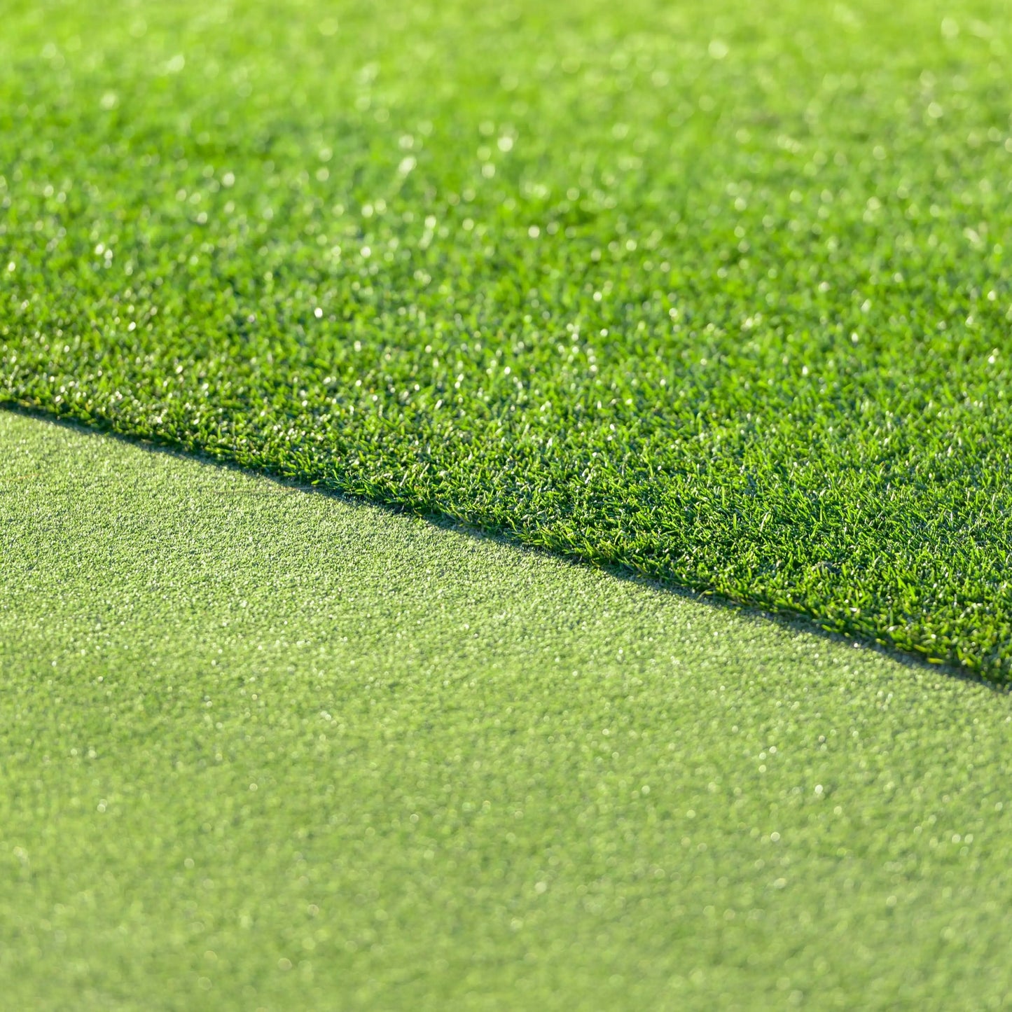 All Seasons Evergreen Grass Seeds | Fast Germination | Year-Round Beatiful Green Lawn