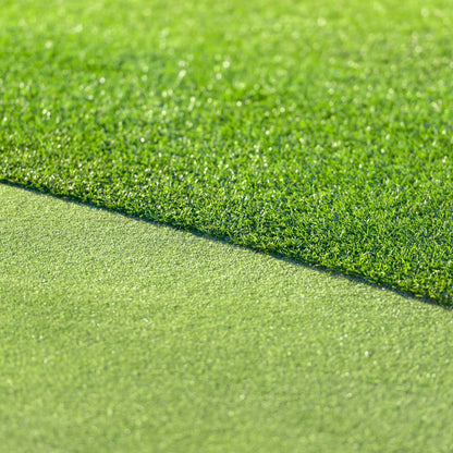 All Seasons Evergreen Grass Seeds | Fast Germination | Year-Round Beatiful Green Lawn