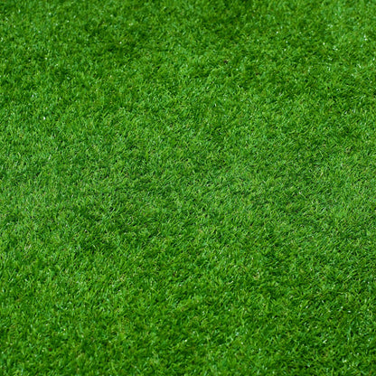 All Seasons Evergreen Grass Seeds | Fast Germination | Year-Round Beatiful Green Lawn